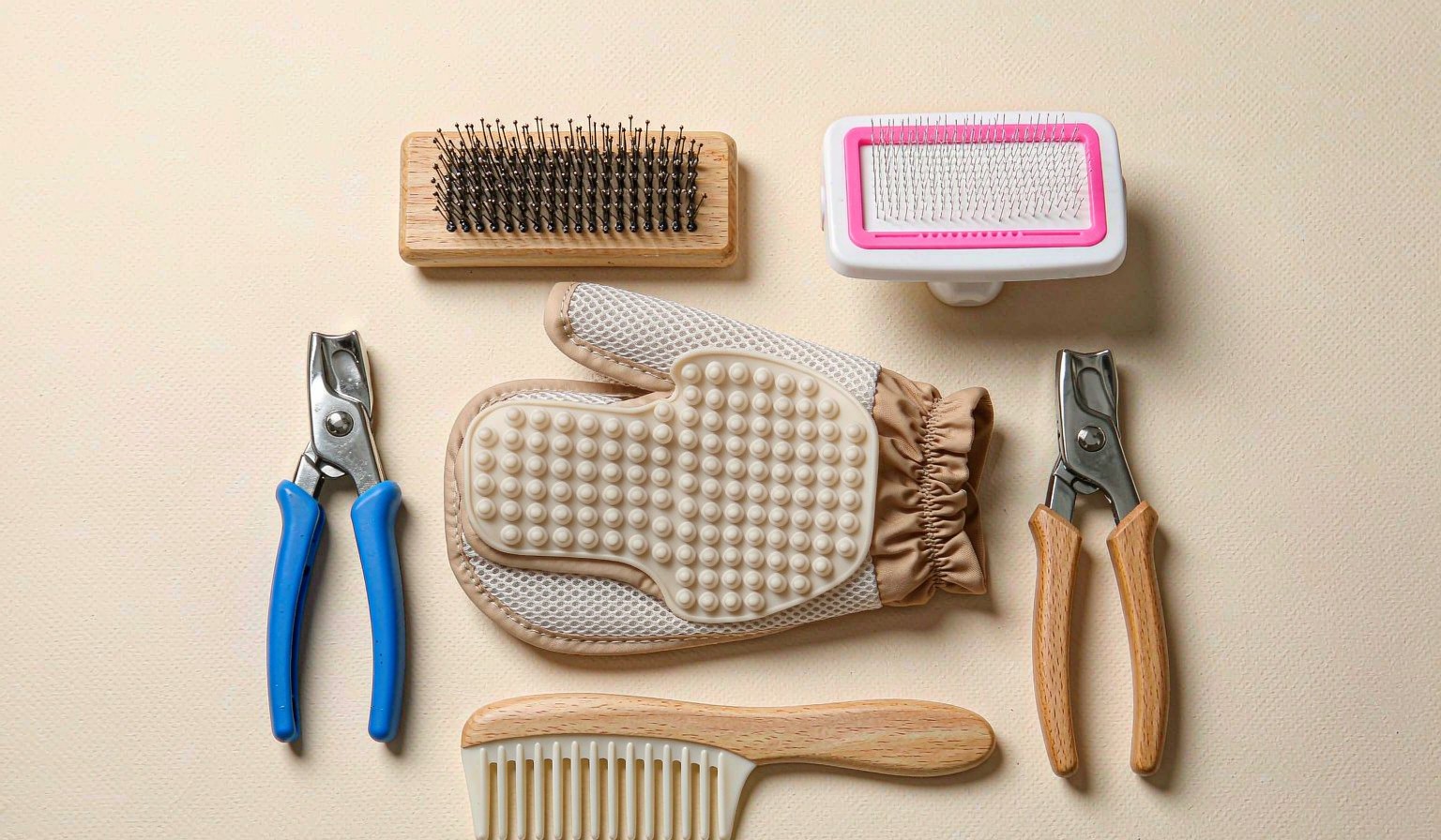 Flat lay of dog grooming tools including brushes, nail clippers and grooming glove