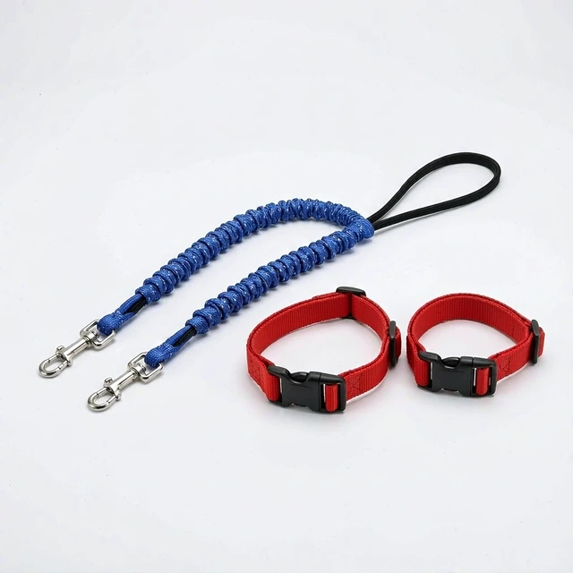 Studio packshot of a blue elastic bungee double dog lead with two red collars - elastic bungee double dog lead with two red nylon collars - dog leash and collar wholesale supplier