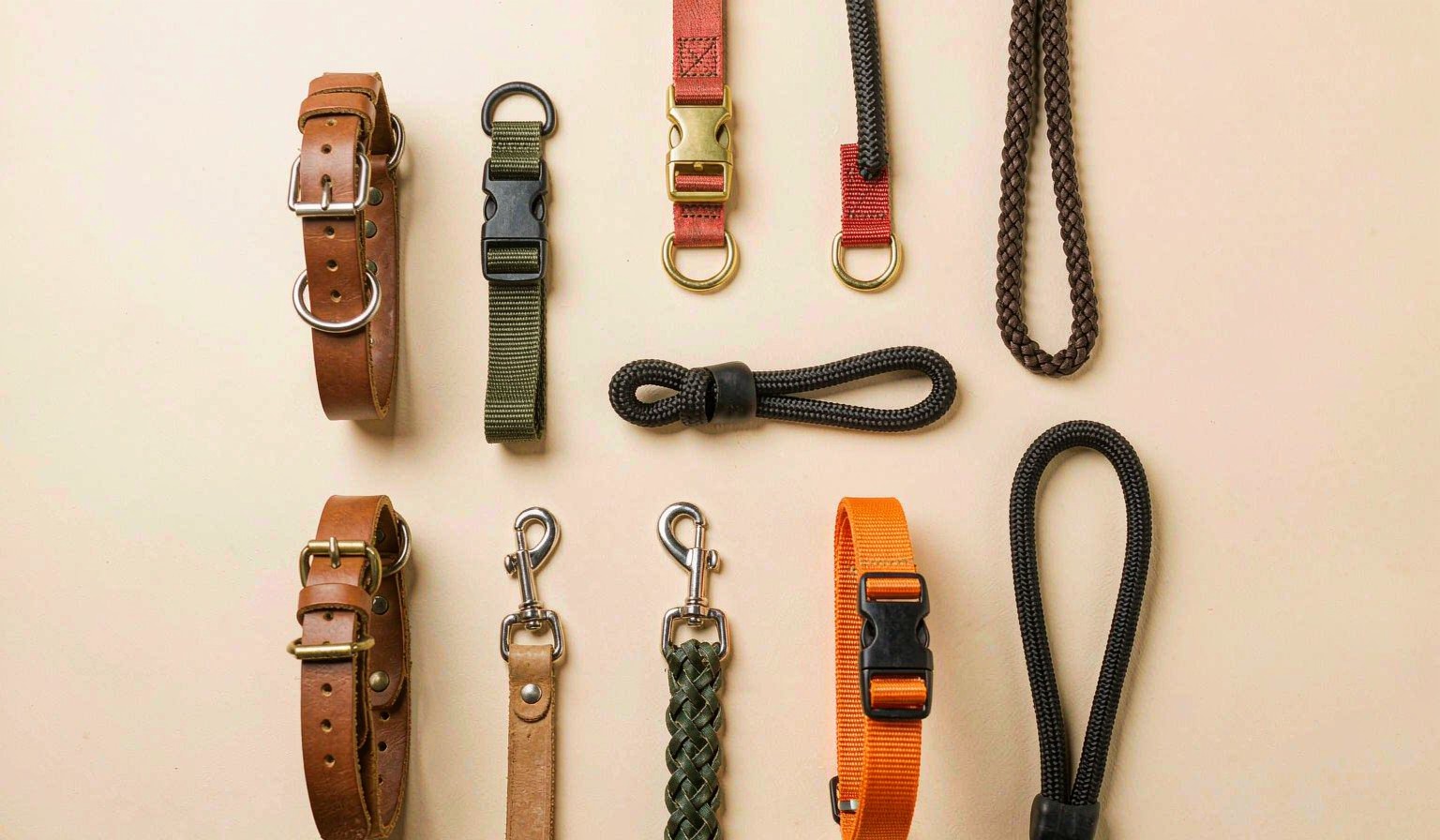 Flat lay of dog leashes and collars in nylon, leather and rope materials