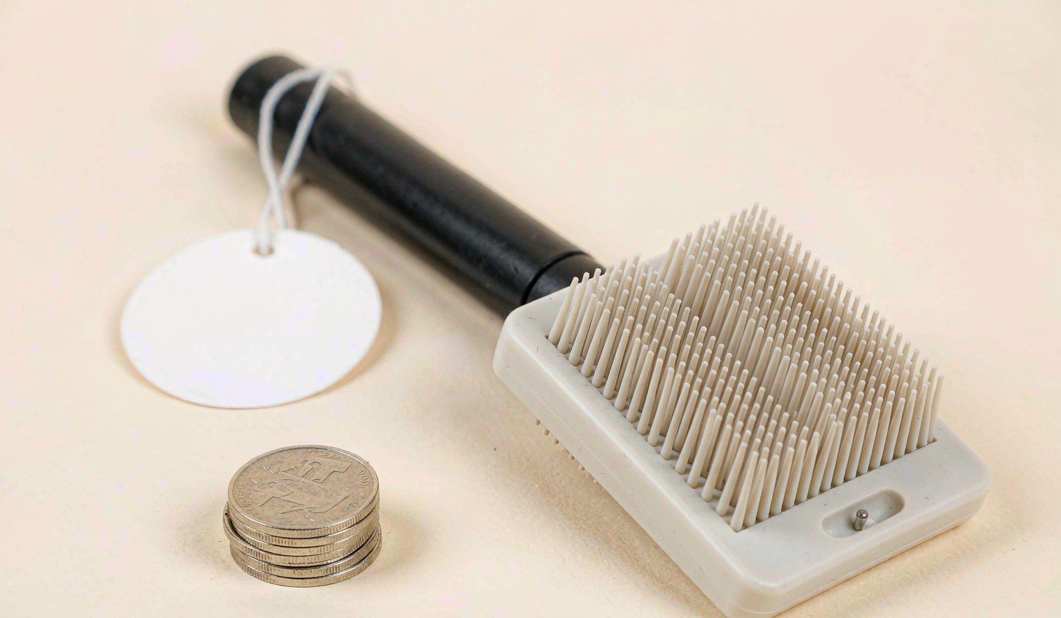 Pet grooming brush with a blank price tag and a stack of coins on a cream background