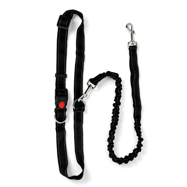 Studio packshot of an adjustable nylon dog leash with a bungee section - adjustable nylon webbing dog leash with bungee shock absorber - adjustable dog leash wholesale supplier