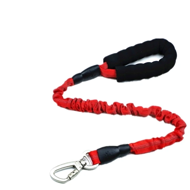 Studio packshot of a shock absorbing bungee dog leash with a padded handle - shock absorbing bungee dog leash with padded handle - bungee dog leash wholesale supplier
