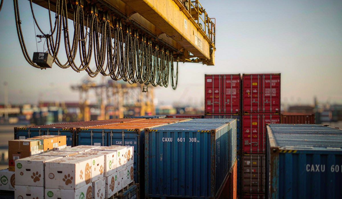 Lead Times & Sea Freight for Pet Products: Planning the Q4 Peak