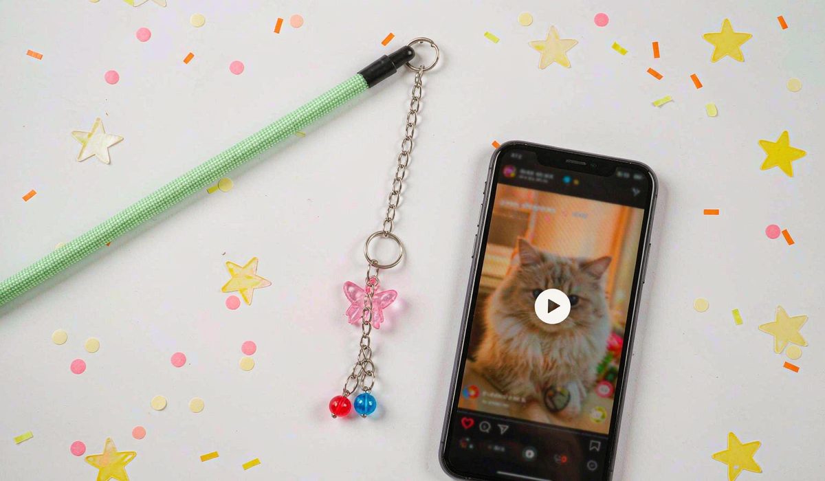 How to Spot the Next Viral Pet Product on TikTok Before It Peaks
